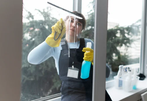 Nettoyage de vitres intérieures et extérieures à Saint-Pierre-Avez